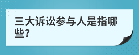 三大诉讼参与人是指哪些?