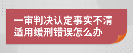 一审判决认定事实不清适用缓刑错误怎么办