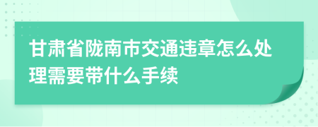 甘肃省陇南市交通违章怎么处理需要带什么手续