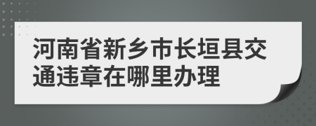 河南省新乡市长垣县交通违章在哪里办理