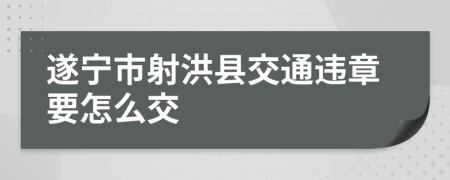 遂宁市射洪县交通违章要怎么交