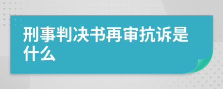 刑事判决书再审抗诉是什么