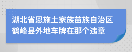 湖北省恩施土家族苗族自治区鹤峰县外地车牌在那个违章