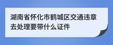 湖南省怀化市鹤城区交通违章去处理要带什么证件