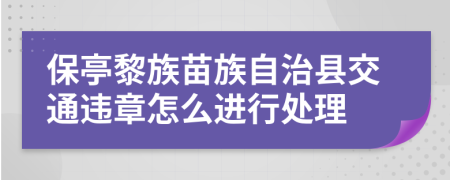 保亭黎族苗族自治县交通违章怎么进行处理