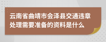 云南省曲靖市会泽县交通违章处理需要准备的资料是什么