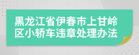 黑龙江省伊春市上甘岭区小轿车违章处理办法