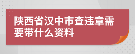 陕西省汉中市查违章需要带什么资料