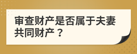 审查财产是否属于夫妻共同财产？