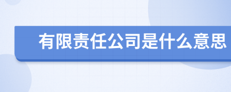 有限责任公司是什么意思