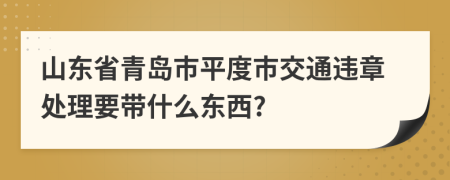 山东省青岛市平度市交通违章处理要带什么东西?