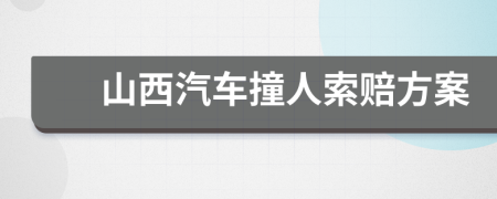 山西汽车撞人索赔方案