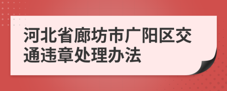 河北省廊坊市广阳区交通违章处理办法