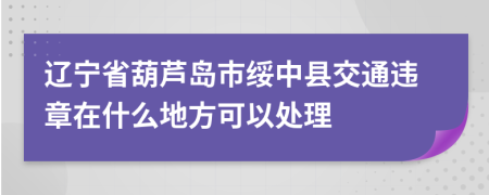 辽宁省葫芦岛市绥中县交通违章在什么地方可以处理