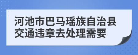 河池市巴马瑶族自治县交通违章去处理需要