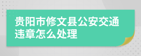 贵阳市修文县公安交通违章怎么处理