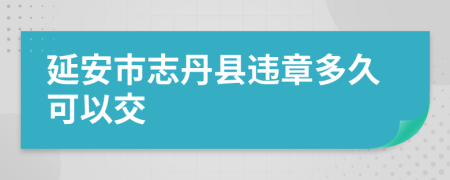 延安市志丹县违章多久可以交