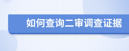 如何查询二审调查证据