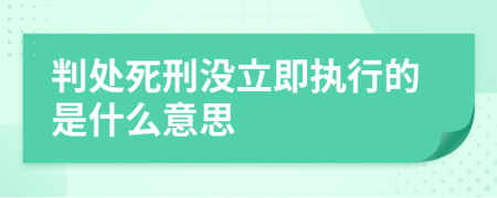 判处死刑没立即执行的是什么意思