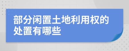 部分闲置土地利用权的处置有哪些