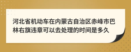 河北省机动车在内蒙古自治区赤峰市巴林右旗违章可以去处理的时间是多久