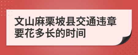 文山麻栗坡县交通违章要花多长的时间