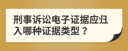 刑事诉讼电子证据应归入哪种证据类型？