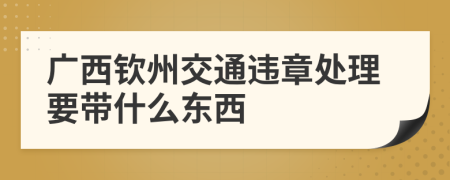 广西钦州交通违章处理要带什么东西