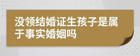 没领结婚证生孩子是属于事实婚姻吗