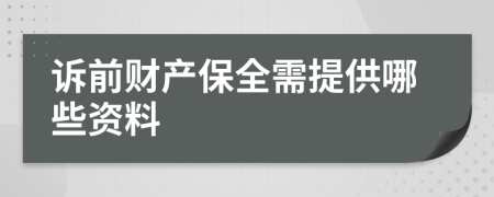 诉前财产保全需提供哪些资料