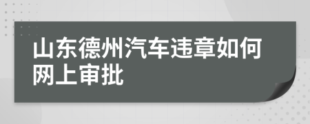 山东德州汽车违章如何网上审批