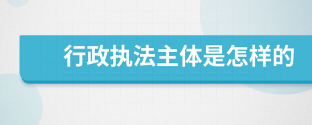 行政执法主体是怎样的