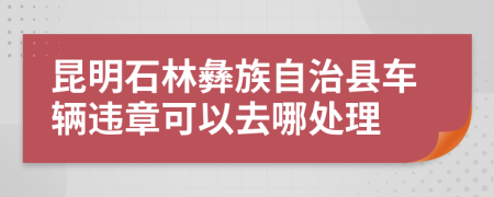昆明石林彝族自治县车辆违章可以去哪处理