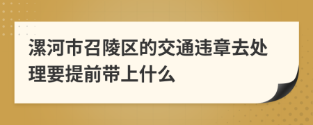 漯河市召陵区的交通违章去处理要提前带上什么