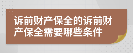 诉前财产保全的诉前财产保全需要哪些条件