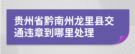 贵州省黔南州龙里县交通违章到哪里处理