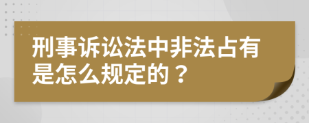 刑事诉讼法中非法占有是怎么规定的？