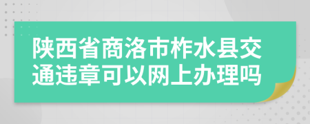 陕西省商洛市柞水县交通违章可以网上办理吗