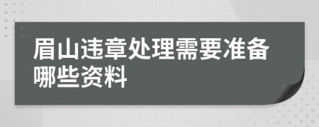 眉山违章处理需要准备哪些资料