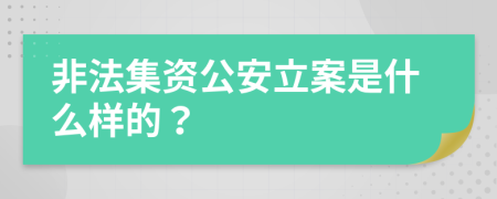 非法集资公安立案是什么样的？