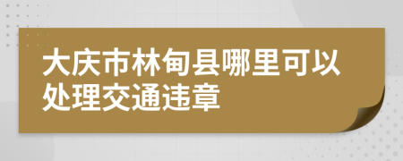 大庆市林甸县哪里可以处理交通违章