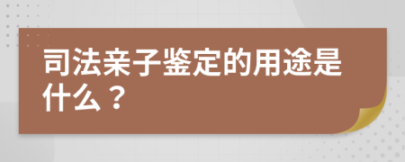 司法亲子鉴定的用途是什么？