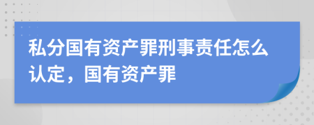 私分国有资产罪刑事责任怎么认定，国有资产罪