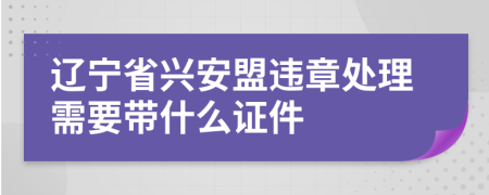 辽宁省兴安盟违章处理需要带什么证件