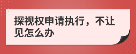 探视权申请执行，不让见怎么办