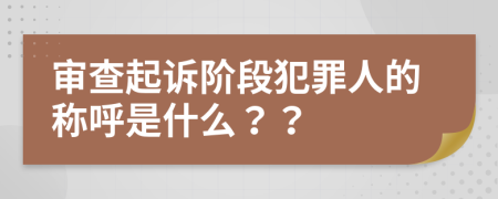 审查起诉阶段犯罪人的称呼是什么？？