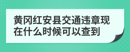 黄冈红安县交通违章现在什么时候可以查到