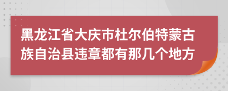 黑龙江省大庆市杜尔伯特蒙古族自治县违章都有那几个地方