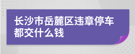 长沙市岳麓区违章停车都交什么钱