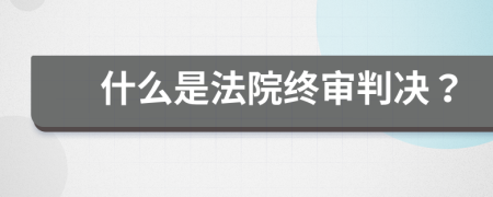 什么是法院终审判决？